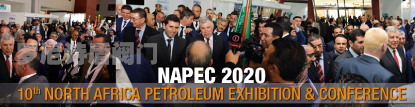 第十届北非石油展览会（NAPEC 2020）时间议程